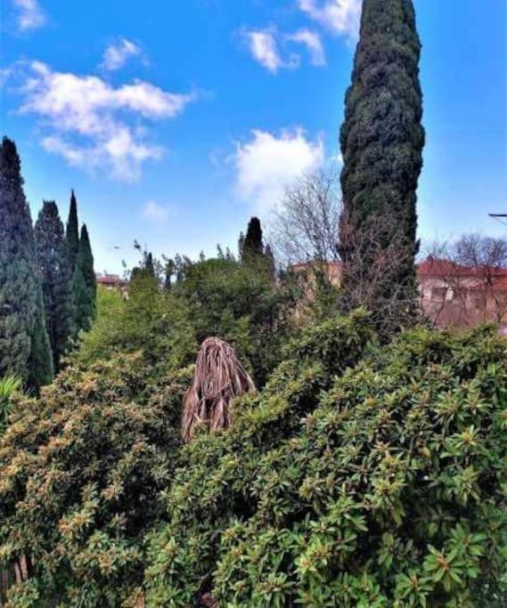 Apartament Casa Raffaello Careggi Florencja Zewnętrze zdjęcie